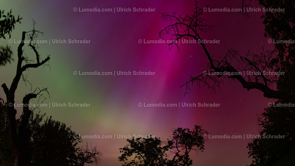 10049-13687 - Polarlichter im Harzkreis | Stockfoto und Bilderpool mit Bildmaterial aus Deutschland, dem Harz, Halberstadt, Quedlinburg, Wernigerode und weltweit. Qualitativ hochwertige und professionelle Fotos anschauen und kaufen. - Realisiert mit Pictrs.com