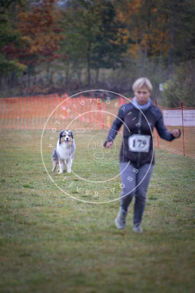 Pfotenfotografie_DV3A9521 | Hundefotografie, Tierfotograf, Pfotenfotografie, Fotoshooting Hund, Hunde Portrait, Hundesport, Hundeportraits, Heideshooting, Hunde, Sportfotograf, Hundefotograf, Turnierhundsport, THS,  - Realisiert mit Pictrs.com