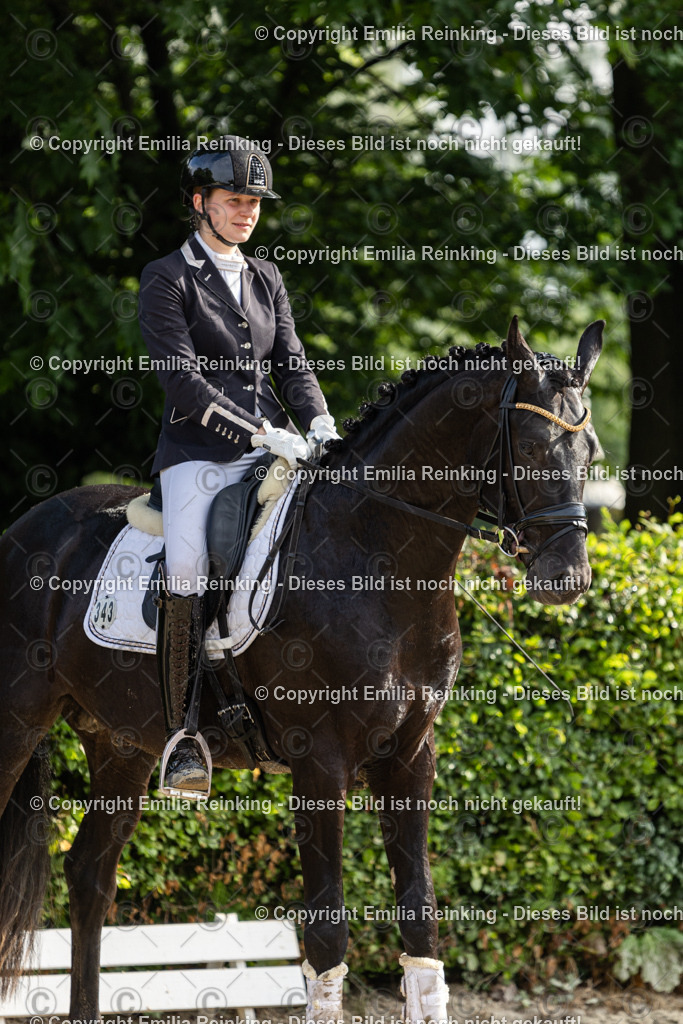 CL5A4047 | Emilia Reinking Fotografie - Realisiert mit Pictrs.com