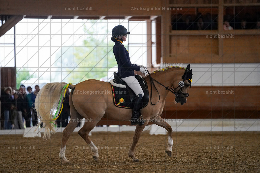 20240825-FAH08964 | Turnierbilder, Reitsportfotos, LAPO, Landesponyturnier, Turnierfotografen Bayern