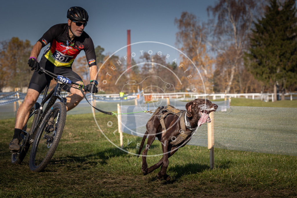 CaniXpix_0L8A6576 | Hundefotografie, Tierfotograf, Pfotenfotografie, Fotoshooting Hund, Hunde Portrait, Hundesport, Hundeportraits, Heideshooting, Hunde, Sportfotograf, Hundefotograf, Turnierhundsport, THS,  - Realisiert mit Pictrs.com