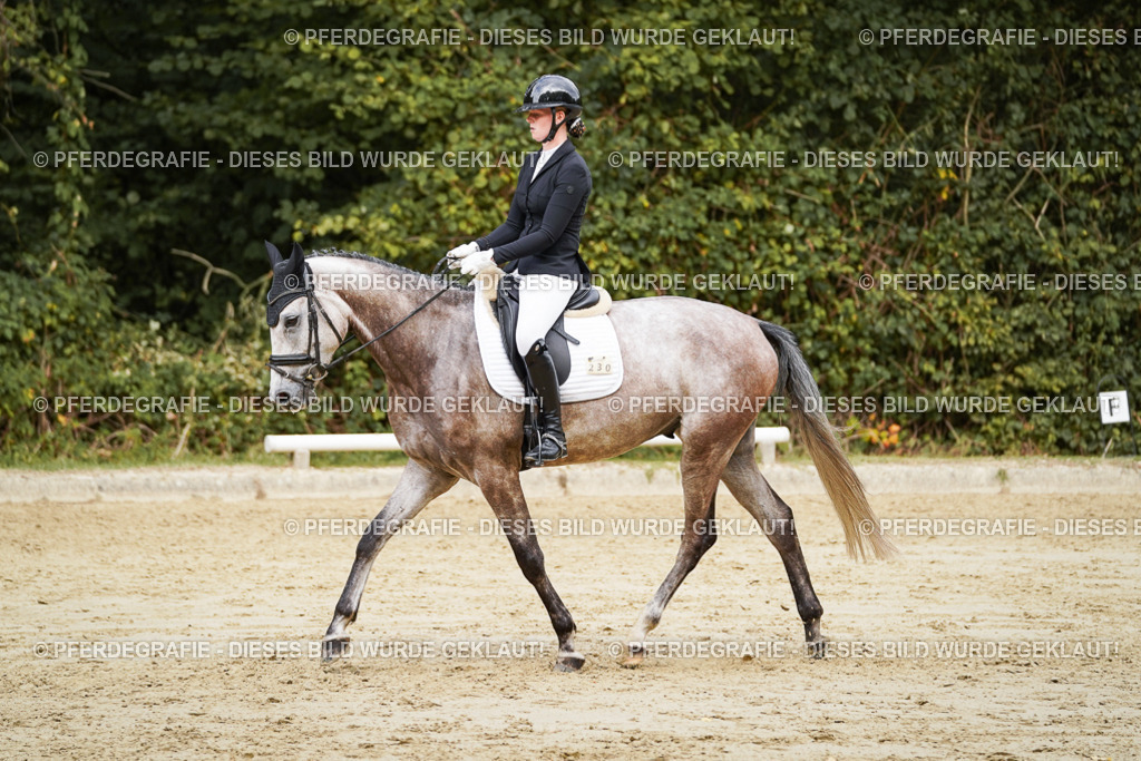 DSC00862 | Pferdegrafie