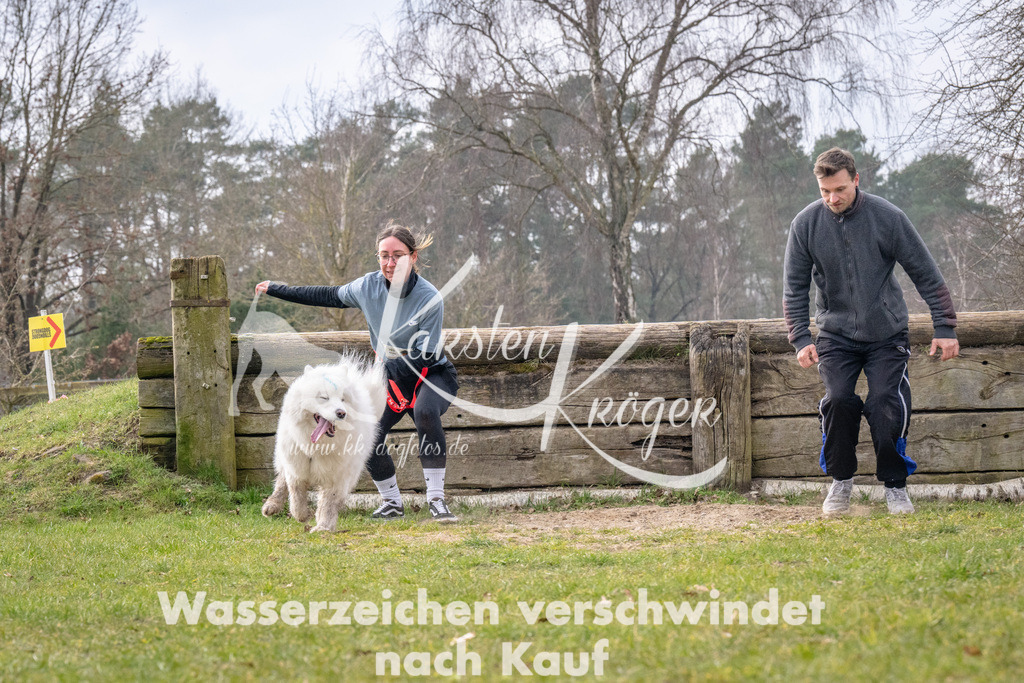 _ZZ93216 | kk-dogfotos