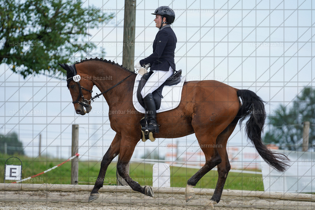20230826-FAH05157 | Forstinning, 2023, Dressurturnier, Turniersportbilder, Turnierfotografen Bayern, Fotoagentur Herrmann, Reitsportfotografie, Turnierbilder