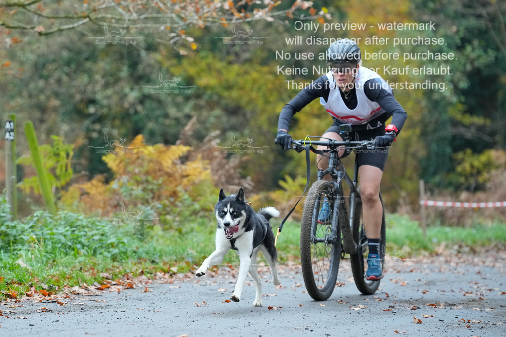 Bike_So-58 | stephaniefillaphotographie - Realisiert mit Pictrs.com