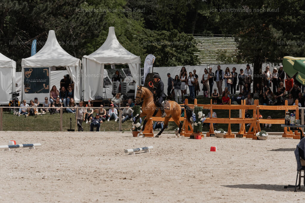 WE_ST_Stoib_311_PI2025_1201 | Pferd International München 2025