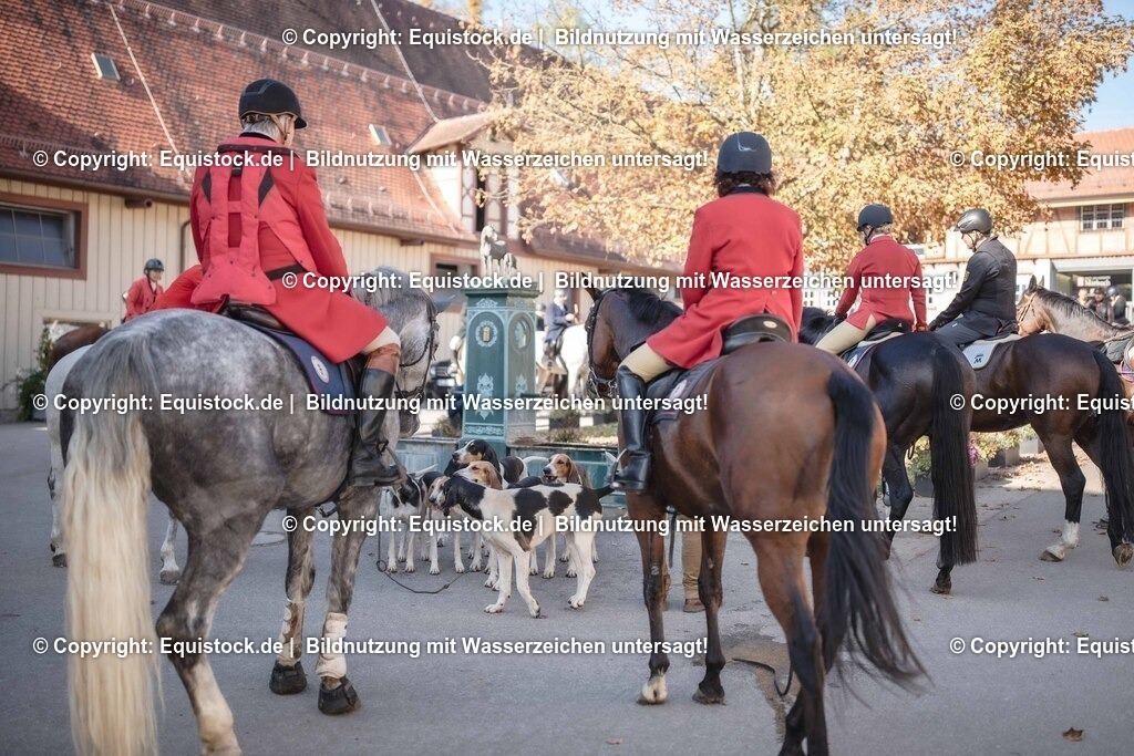 20251011_Jagd-Marbach_0629 | Foto: Thomas Hartig