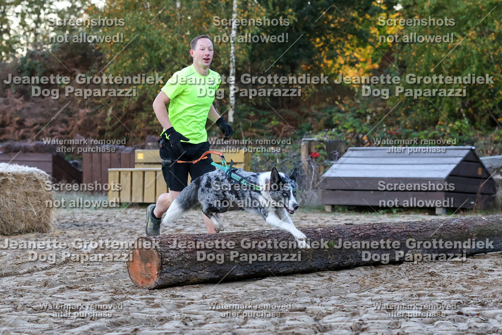 Dog Paparazzi - Strongdog 10-25-87 | Dog Paparazzi Jeanette Grottendiek Fotografie & Videografie - Realisiert mit Pictrs.com