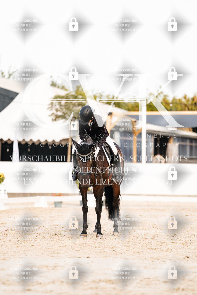 CK904626 | Turnierfotografie Pferdefotografie Trier Rheinland-Pfalz Pferdesport Reitsport Tierfotografie Sportfotografie Pferdevideo Pferdevideografie Equestrianvideography equestrianphotography  - Realisiert mit Pictrs.com