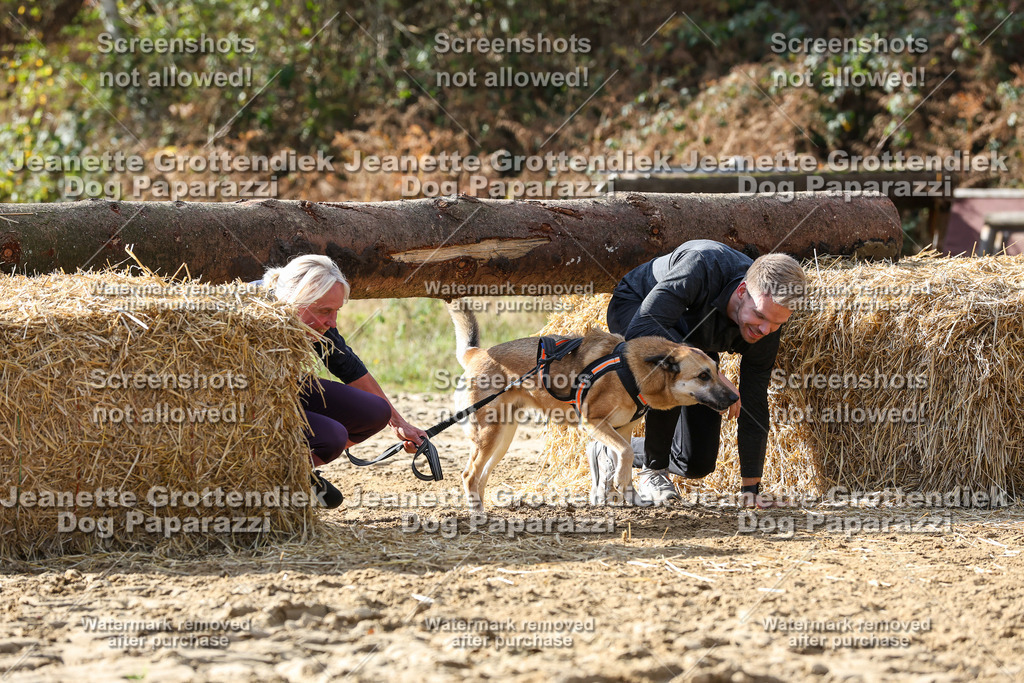 Dog Paparazzi - Strongdog 10-25-5748 | Dog Paparazzi Jeanette Grottendiek Fotografie & Videografie - Realisiert mit Pictrs.com