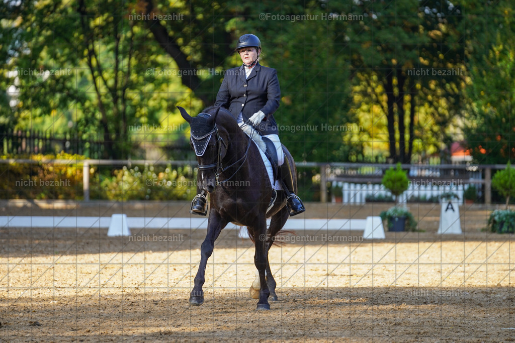 20221007-FAH00190 | Diessen am Ammersee, 2022, Dressur- und Springturnier, Reitsportbilder, Turnierfotografen Bayern, Pferdefotografen, Fotoagentur Herrmann, Turnierbilder