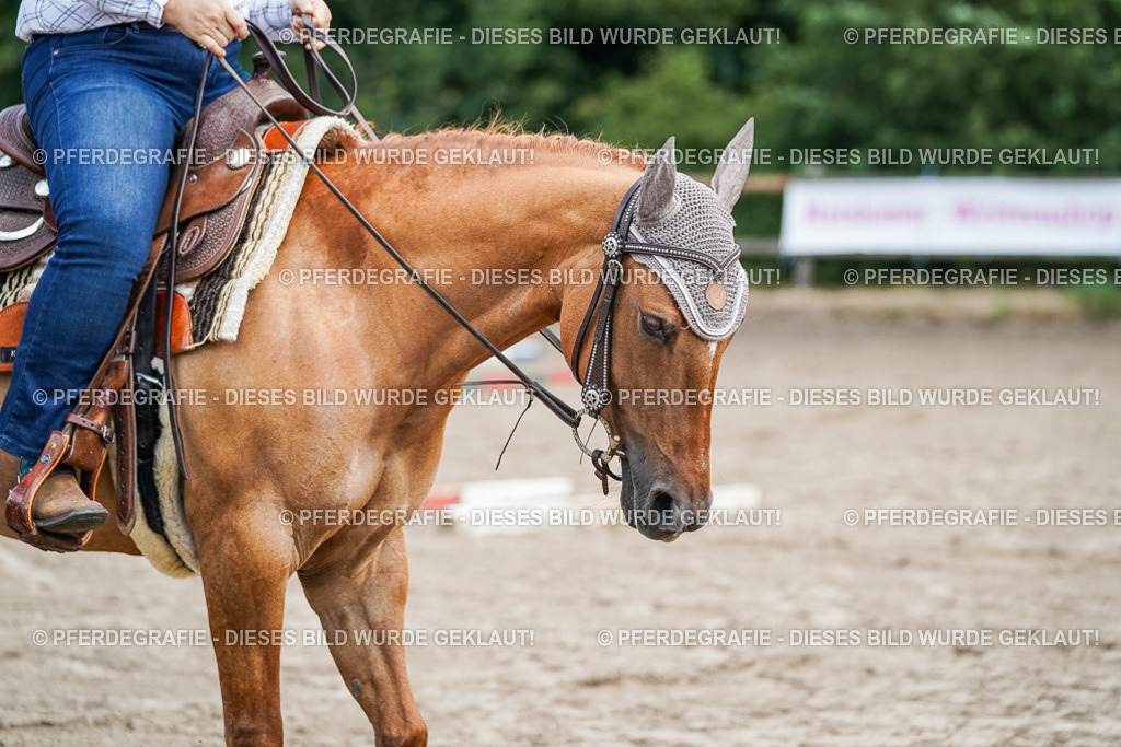 DSC05926 | Pferdegrafie