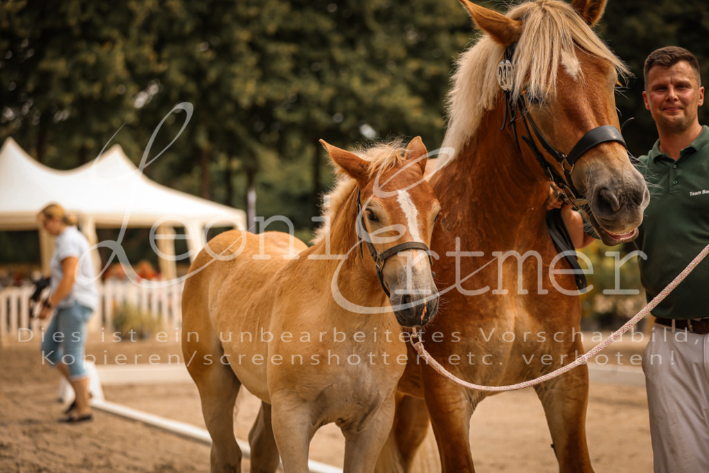 SaSF00128 | Leoni Ertmer Photography - Realisiert mit Pictrs.com