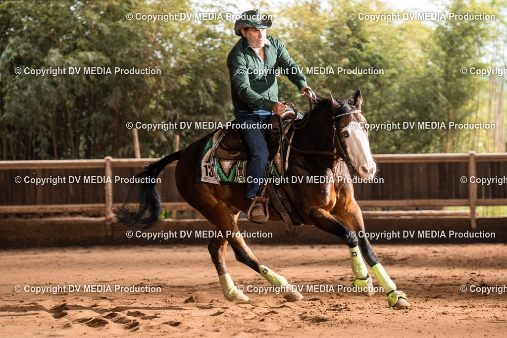 Erbach Tag 2-703 | dv-media-shop - Realisiert mit Pictrs.com