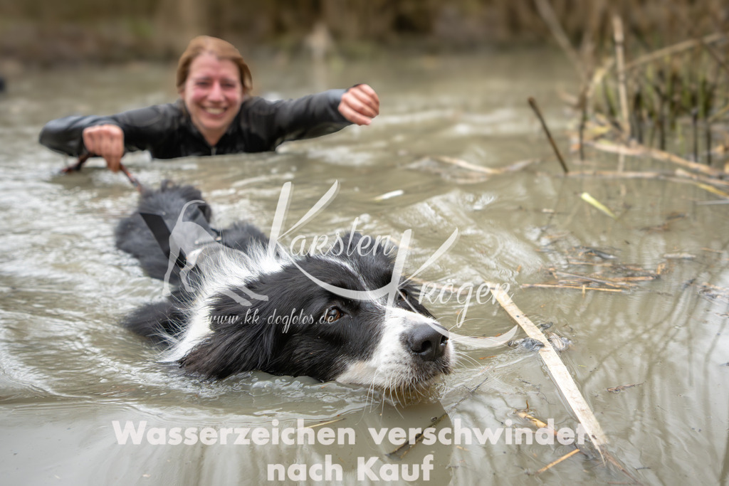 1230_ZZ97729 | kk-dogfotos
