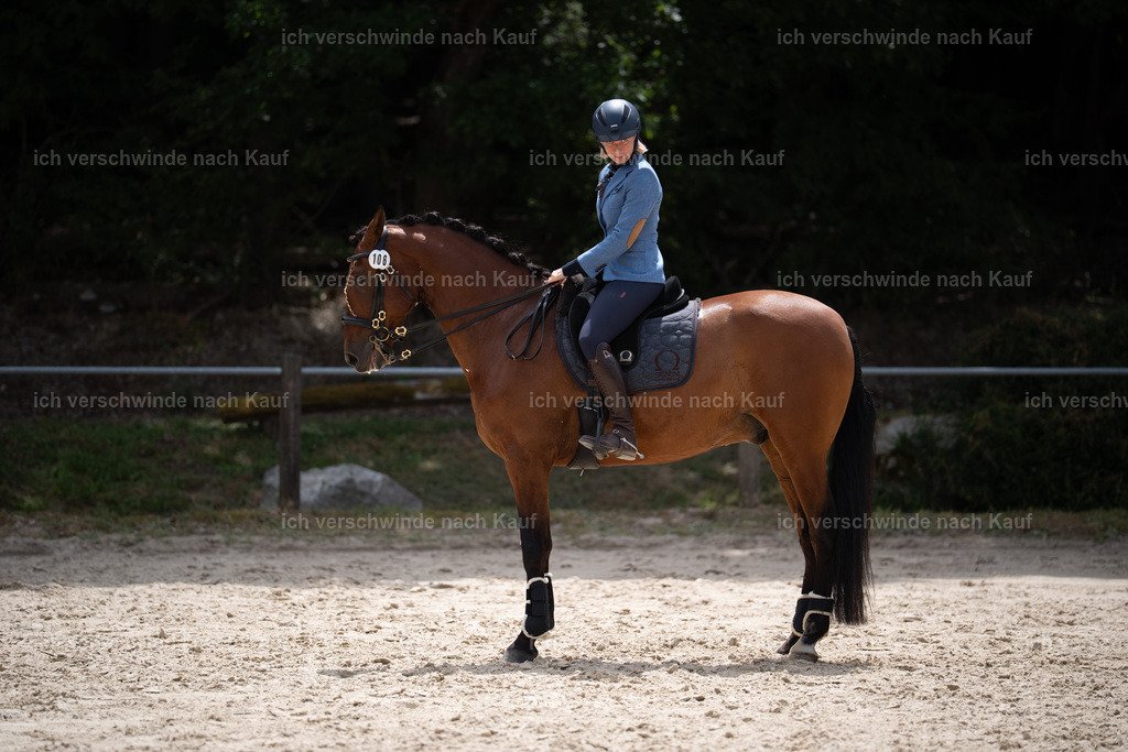 WL_ST_106_stoibphotography__SO11162 | working equitationturnier fotograf videograf stoibphotography marixx film working equitation deutschland reitsport turnierfotografie eventfotografie equestrian events