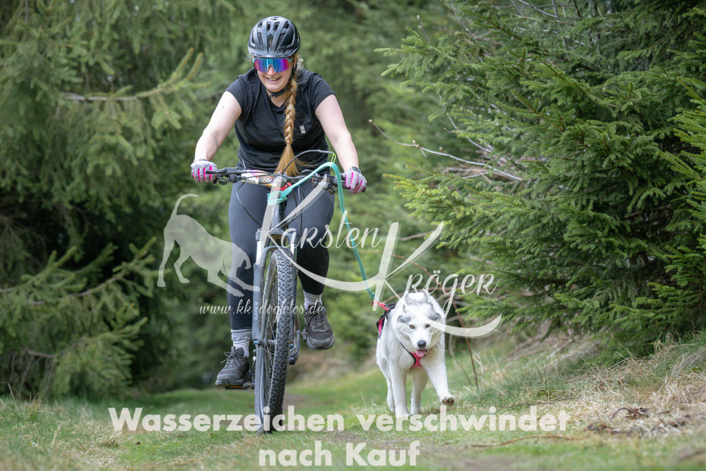 1317_ZZ94101 | kk-dogfotos