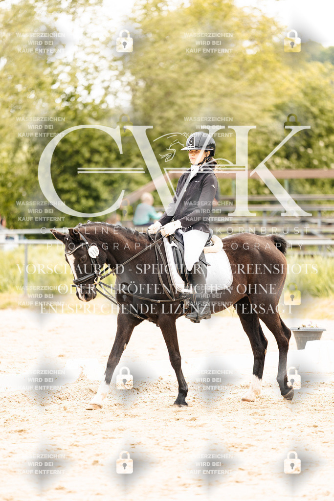 CK904181 | Turnierfotografie Pferdefotografie Trier Rheinland-Pfalz Pferdesport Reitsport Tierfotografie Sportfotografie Pferdevideo Pferdevideografie Equestrianvideography equestrianphotography  - Realisiert mit Pictrs.com