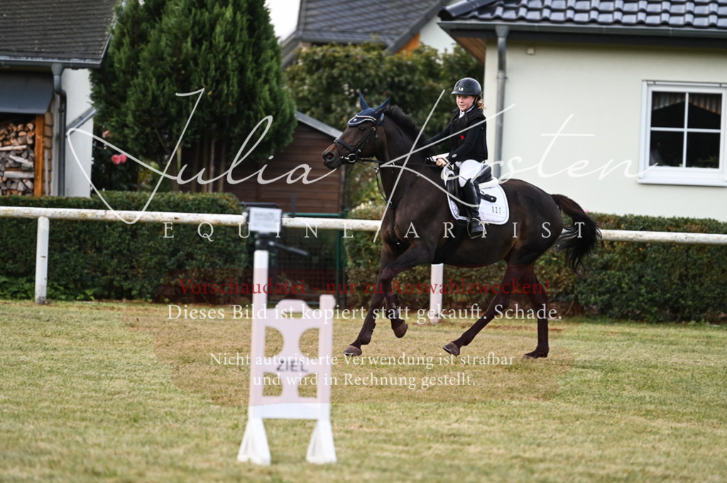 DSC_5592 | Pferde- und Turnierfotografie in Westsachsen. Pferdeportraits, Auftragszeichnungen und intuitive Kunst.
