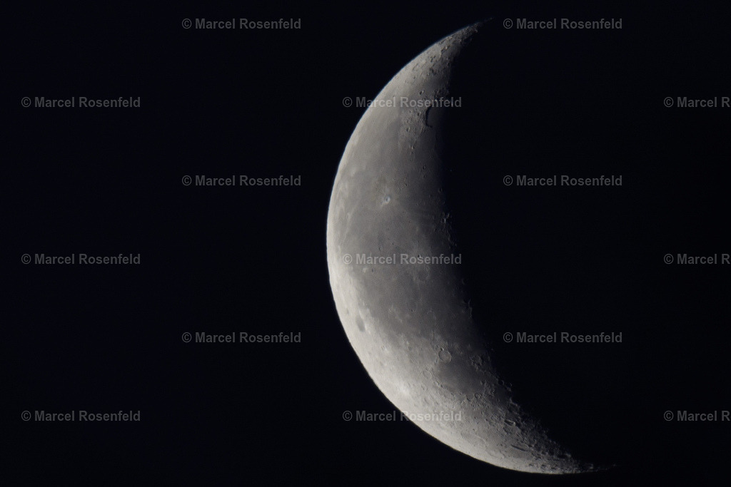 _DSC4448 (2) | foto-rosenfeld