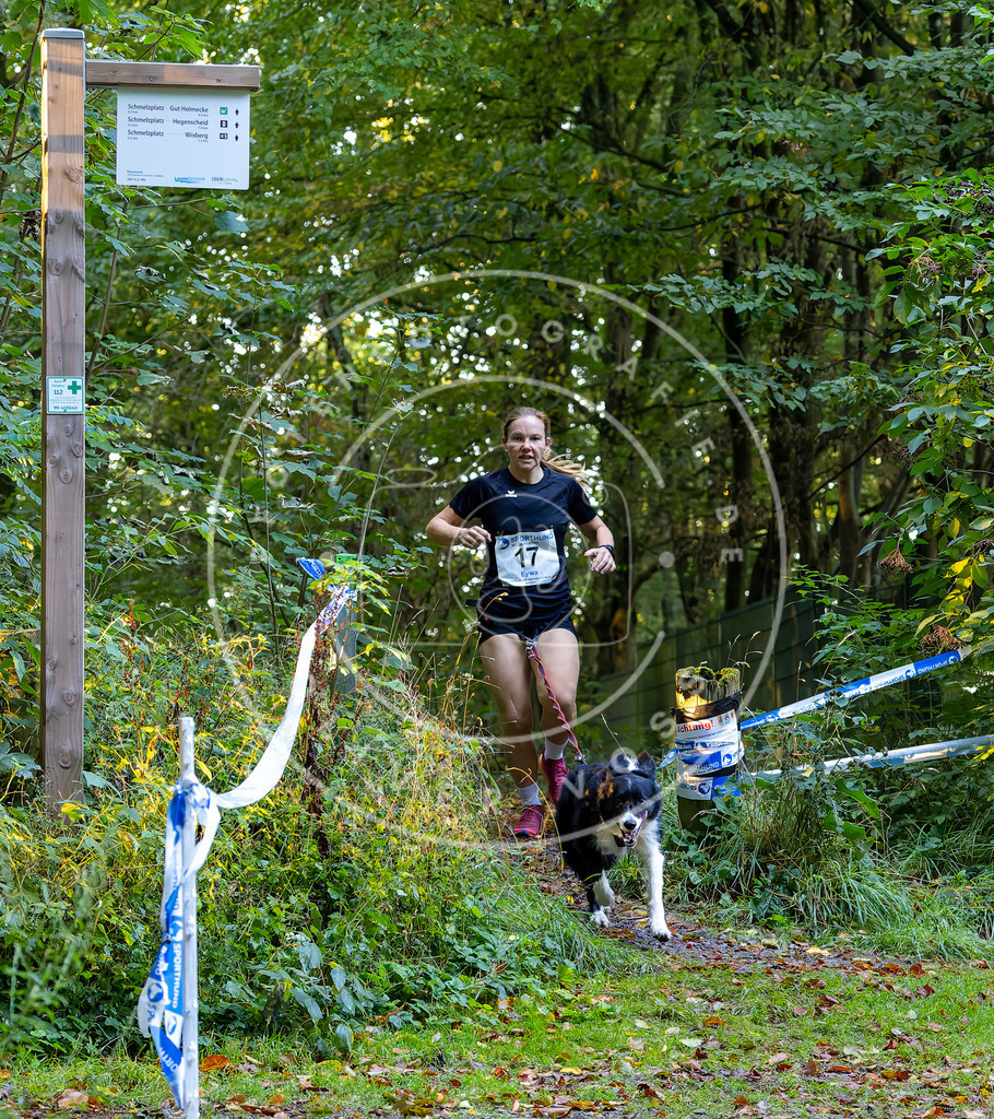 Pfotenfotografie_DV3A6387 | Hundefotografie, Tierfotograf, Pfotenfotografie, Fotoshooting Hund, Hunde Portrait, Hundesport, Hundeportraits, Heideshooting, Hunde, Sportfotograf, Hundefotograf, Turnierhundsport, THS,  - Realisiert mit Pictrs.com