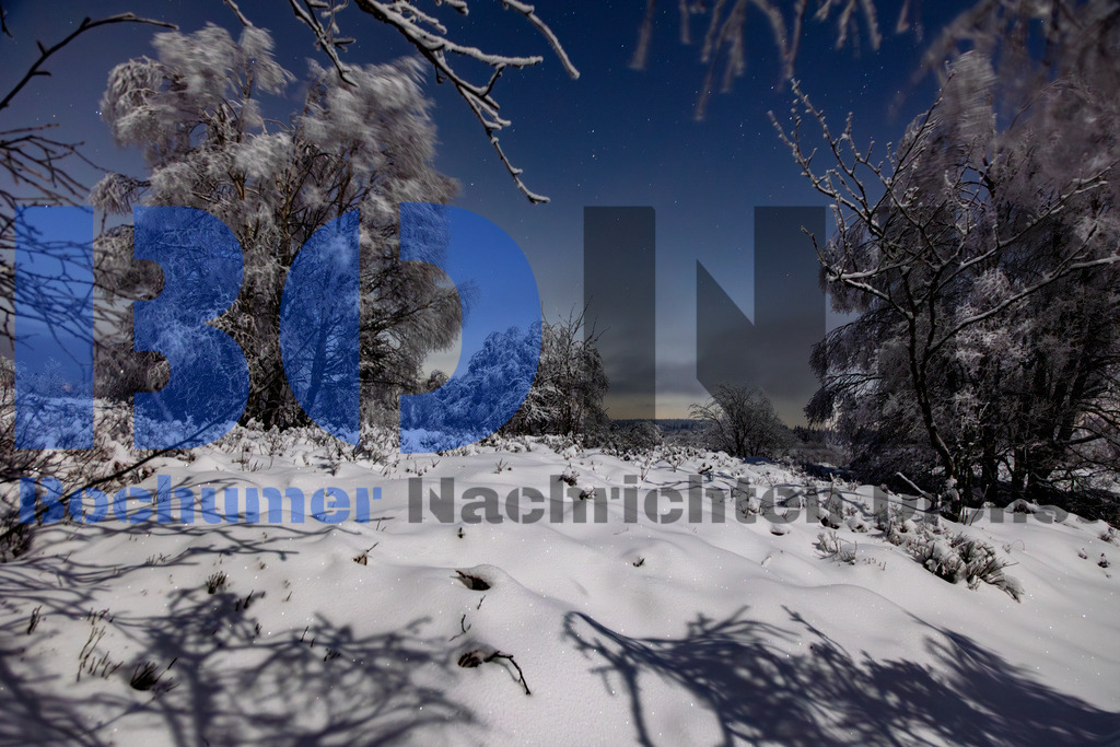 Hohes Venn bei Nacht im Schnee {date} -  | {headline}



(Foto: Sebastian Sendlak / BOND)

 - Realisiert mit Pictrs.com