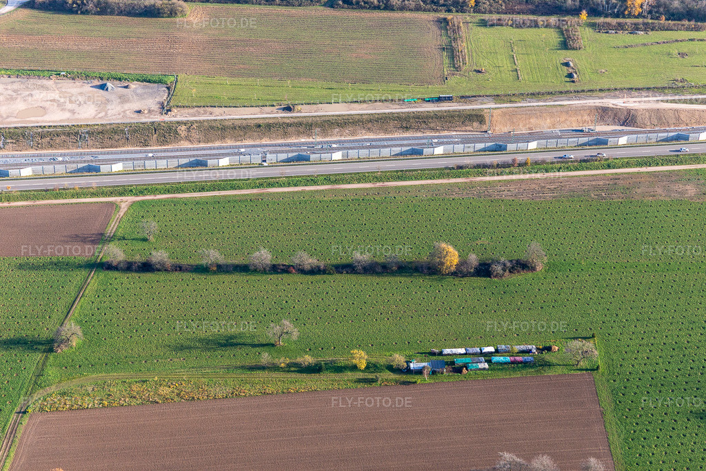 Luftbild: Unbekannte Plantage an der B36 in Ötigheim im Bundesland Baden-Württemberg in Deutschland. Foto: IMG_119866.jpg vom 30.11.2019 durch Werner Riehm/FLY-FOTO.de
