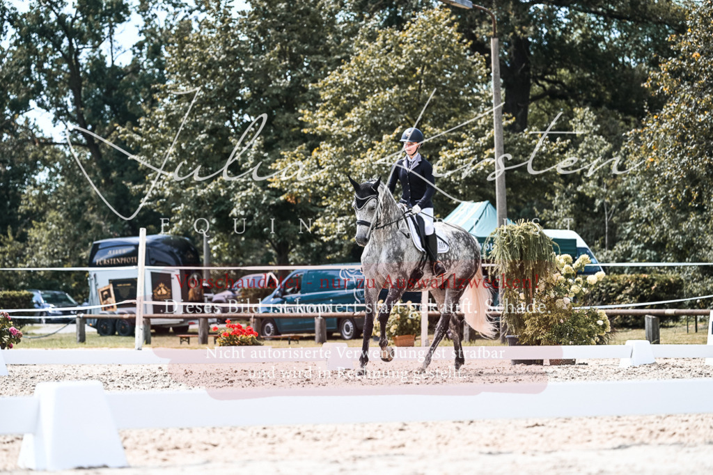 DSC_5613 | Pferde- und Turnierfotografie in Westsachsen. Pferdeportraits, Auftragszeichnungen und intuitive Kunst.