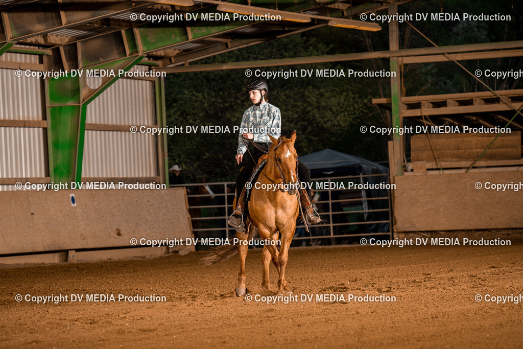 BA301417 | dv-media-shop - Realisiert mit Pictrs.com