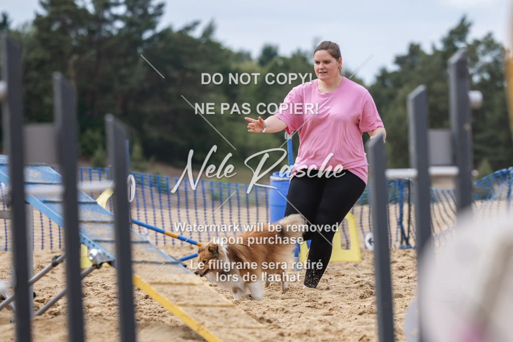 nelerasche_BuHu2026_So1530-Ende_134 | nelerasche