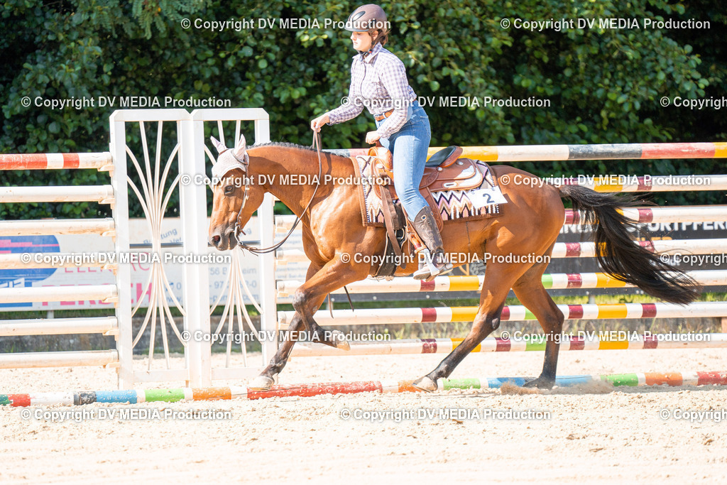 ZH100693 | dv-media-shop - Realisiert mit Pictrs.com