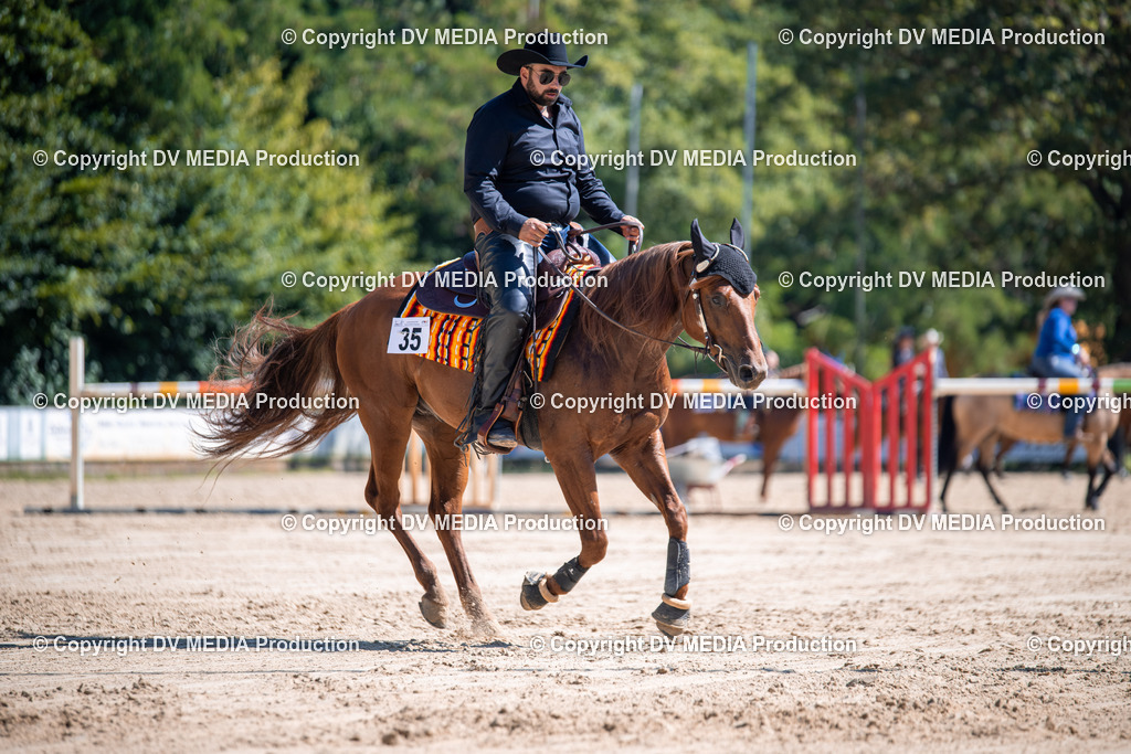 ZS1_0979 | dv-media-shop - Realisiert mit Pictrs.com