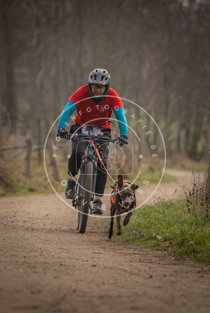 Pfotenfotografie_DV3A1856 | Hundefotografie, Tierfotograf, Pfotenfotografie, Fotoshooting Hund, Hunde Portrait, Hundesport, Hundeportraits, Heideshooting, Hunde, Sportfotograf, Hundefotograf, Turnierhundsport, THS,  - Realisiert mit Pictrs.com