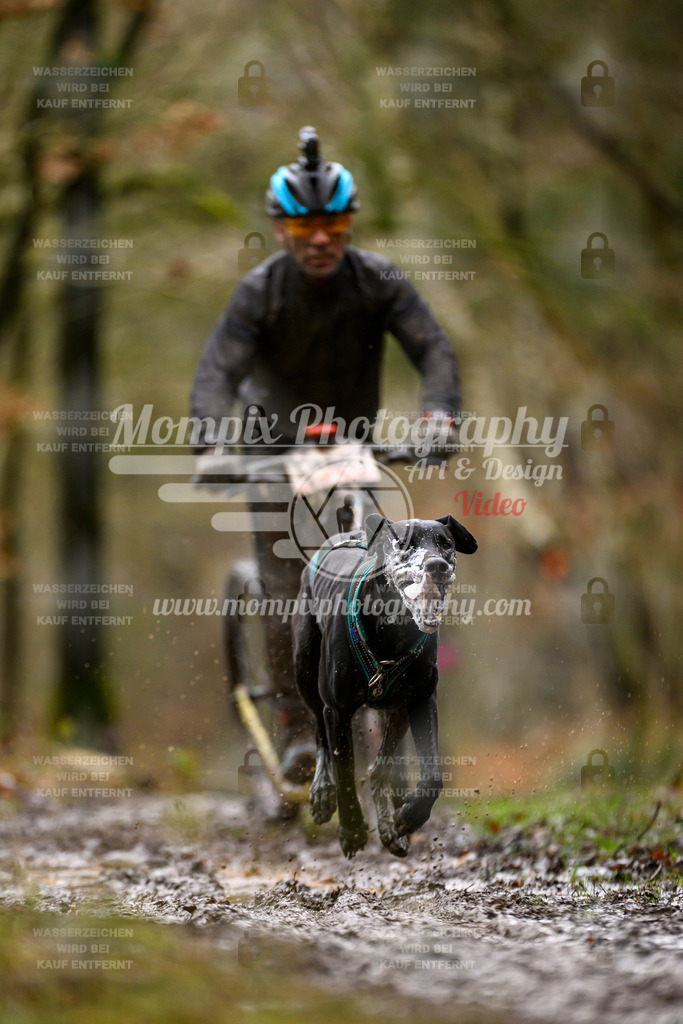 MompixPhotography_CDSM24_SA_DS1-39 | mompixphotography