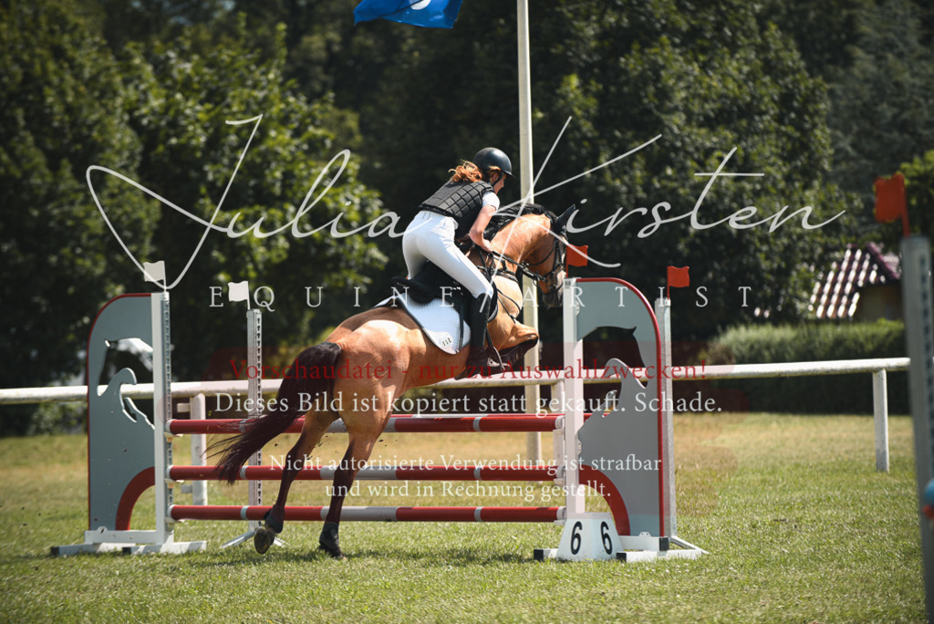 DSC_6789 | Pferde- und Turnierfotografie in Westsachsen. Pferdeportraits, Auftragszeichnungen und intuitive Kunst.