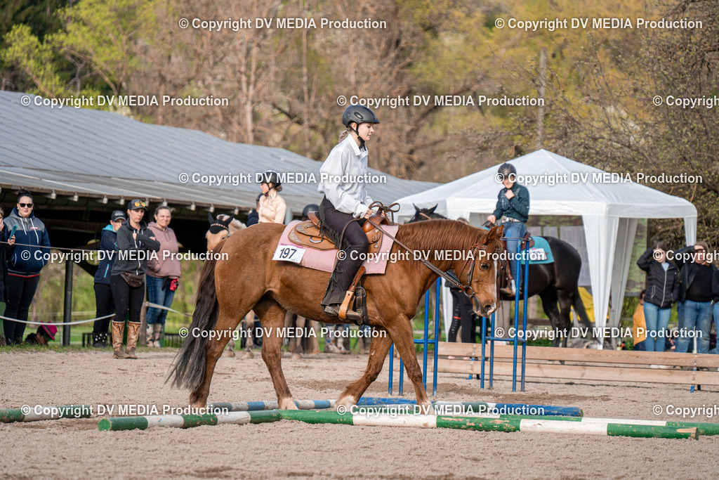 BAL02861 | dv-media-shop - Realisiert mit Pictrs.com