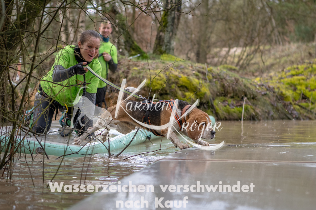 0954_ZZ91647-Bearbeitet | kk-dogfotos