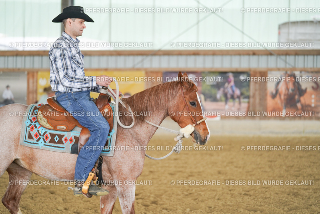 DSC03749 | Pferdegrafie