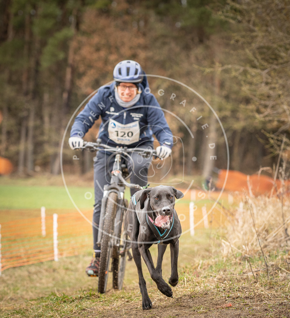 DV3A1064 | Hundefotografie, Tierfotograf, Pfotenfotografie, Fotoshooting Hund, Hunde Portrait, Hundesport, Hundeportraits, Heideshooting, Hunde, Sportfotograf, Hundefotograf, Turnierhundsport, THS,  - Realisiert mit Pictrs.com