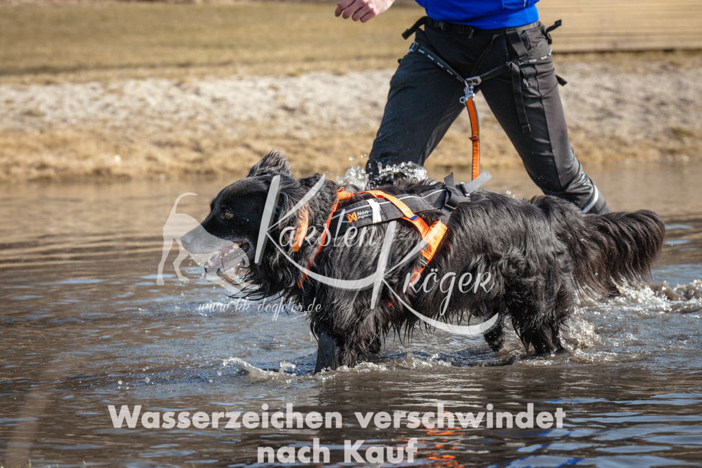 1106_ZZ92397 | kk-dogfotos