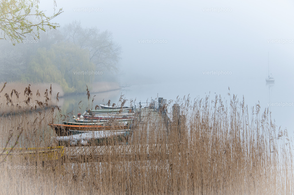 Morgennebel am See | viertelphoto - Realisiert mit Pictrs.com