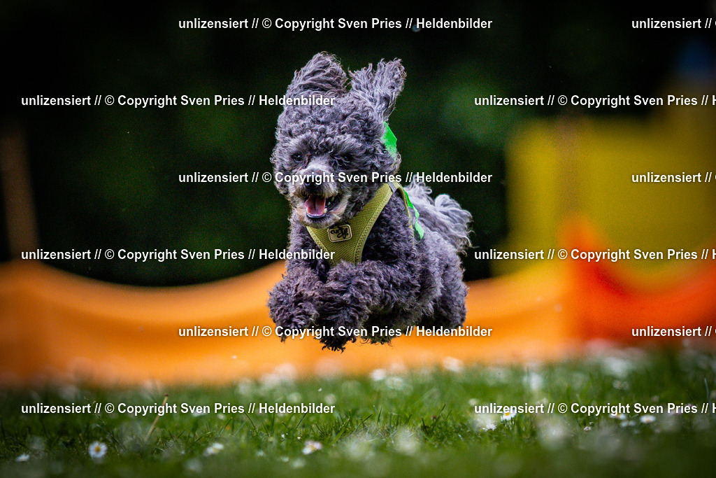 Sven Pries | 2025-05-29 - Pudelrennen KA-Durlach - Realisiert mit Pictrs.com