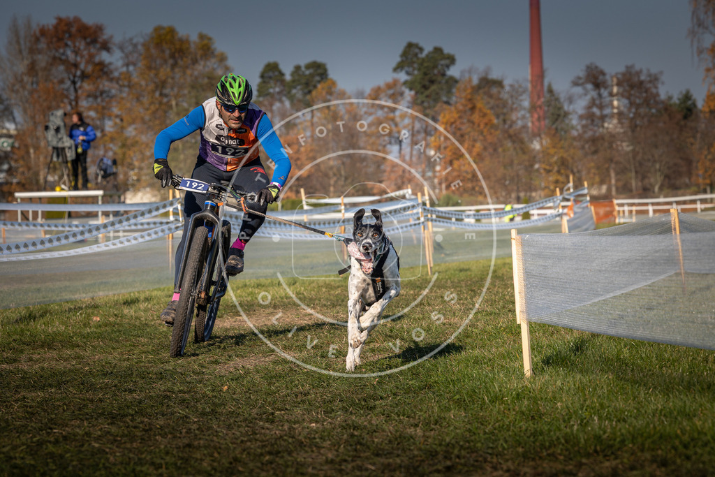 CaniXpix_0L8A6400 | Hundefotografie, Tierfotograf, Pfotenfotografie, Fotoshooting Hund, Hunde Portrait, Hundesport, Hundeportraits, Heideshooting, Hunde, Sportfotograf, Hundefotograf, Turnierhundsport, THS,  - Realisiert mit Pictrs.com