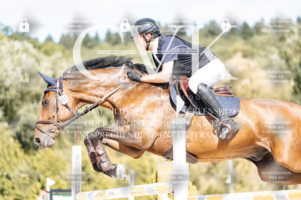 CK909028 | Turnierfotografie Pferdefotografie Trier Rheinland-Pfalz Pferdesport Reitsport Tierfotografie Sportfotografie Pferdevideo Pferdevideografie Equestrianvideography equestrianphotography  - Realisiert mit Pictrs.com