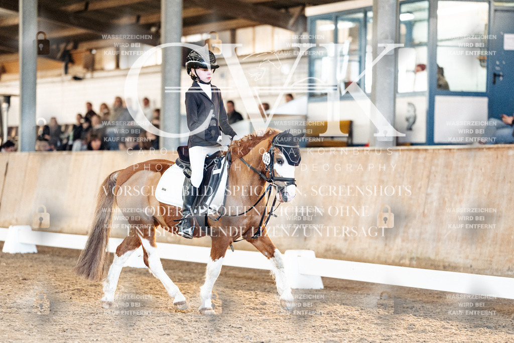 CK907258 | Turnierfotografie Pferdefotografie Trier Rheinland-Pfalz Pferdesport Reitsport Tierfotografie Sportfotografie Pferdevideo Pferdevideografie Equestrianvideography equestrianphotography  - Realisiert mit Pictrs.com