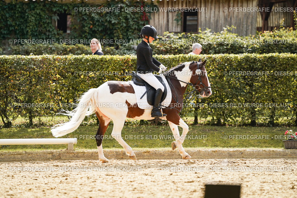 DSC01362 | Pferdegrafie