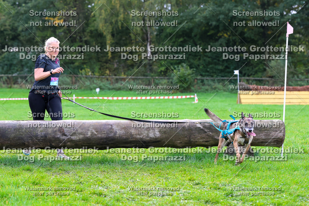 Dog Paparazzi -  SD1026-2107 | Dog Paparazzi Jeanette Grottendiek Fotografie & Videografie - Realisiert mit Pictrs.com