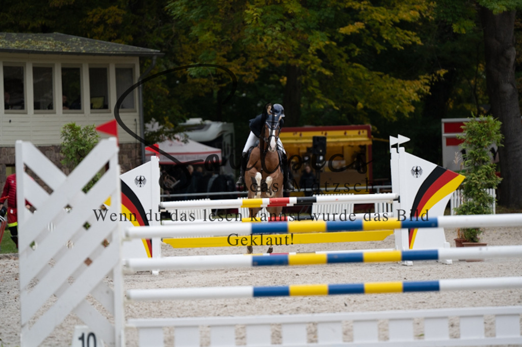 A7V00303 | Pferdefotograf