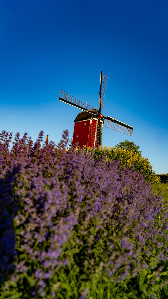 _DSC1094 | fotografie33