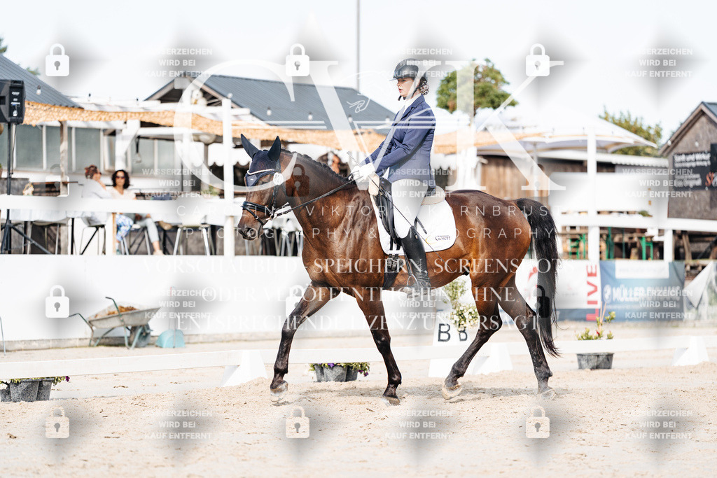 CK905096 | Turnierfotografie Pferdefotografie Trier Rheinland-Pfalz Pferdesport Reitsport Tierfotografie Sportfotografie Pferdevideo Pferdevideografie Equestrianvideography equestrianphotography  - Realisiert mit Pictrs.com
